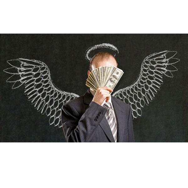 Wall Street Wildlife Investing Podcast