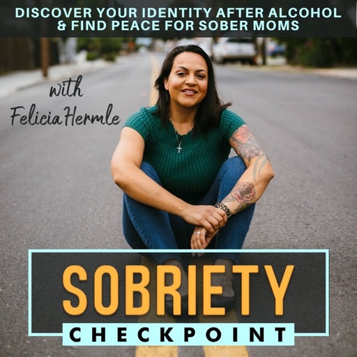 SOBRIETY CHECKPOINT - Emotional Sobriety, Addiction Recovery, Mental Health, Sober Life, Alcoholics Anonymous