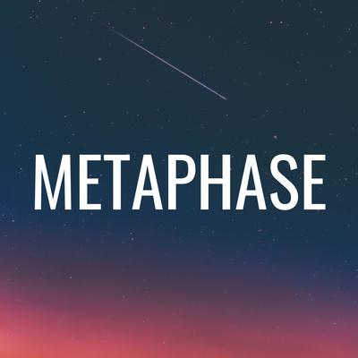Exciting journey to the world of healthcare startups with venture capitalist Joseph Mocanu
