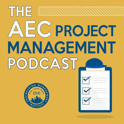 TEPM 025: Top Tips for Effective Organizational Leadership in Project Manageme… — podcast episode featuring Karuna Ramanathan