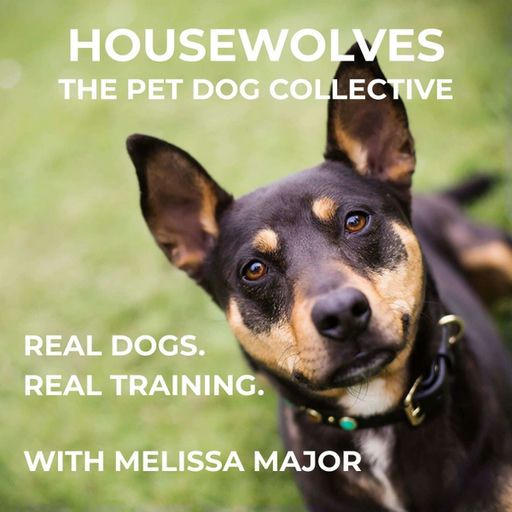 E13 - The Critical Stages of Puppy Development You Must Know with Sharon Mills — podcast episode